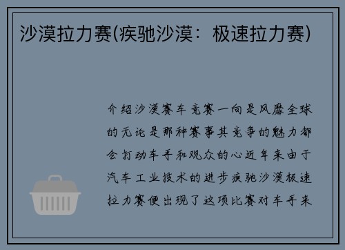 沙漠拉力赛(疾驰沙漠:极速拉力赛)